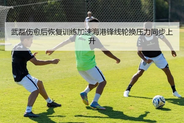 武磊伤愈后恢复训练加速海港锋线轮换压力同步上升
